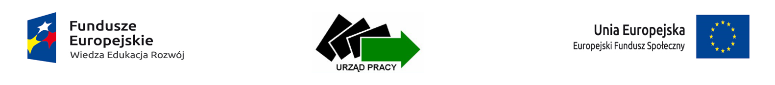 Logo programu POWER