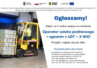 Zdjęcie artykułu Ogłaszamy nabór na szkolenie w ramach Regionalnego Programu Operacyjnego